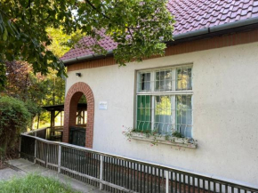 Jókai 10 Vendégház Présház Csongrád